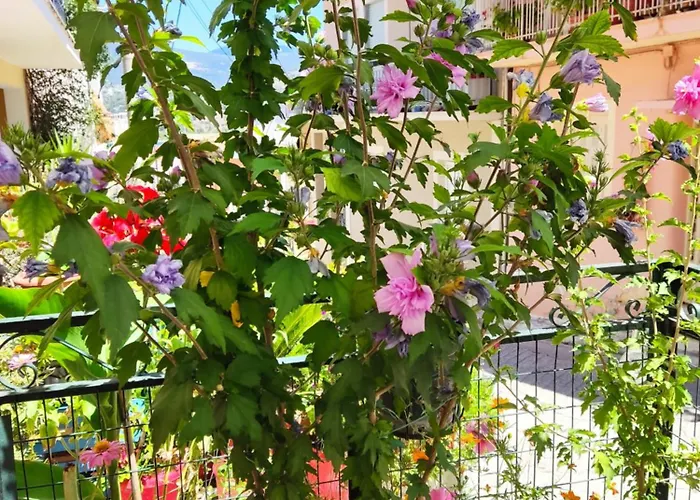 Апартаменты Napier *