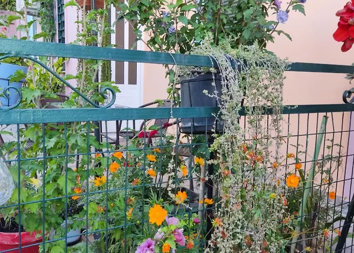 Napier Апартаменты