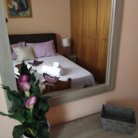 Napier * أرغوستولي