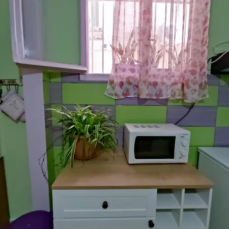 Apartment Napier